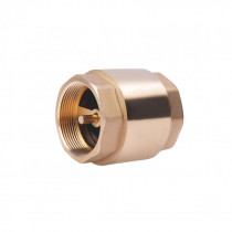 Купити Зворотний клапан SD Forte 2" SF240W50