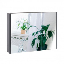Купити Дзеркальна шафа підвісна Qtap Scorpio 800х600 Graphite QT1477ZP802G