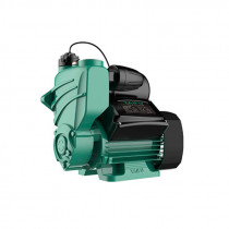 Купить Насосная станция Taifu QB TGP(B)125(I)