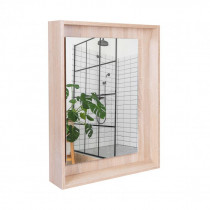 Купити Дзеркальна шафа підвісна Qtap Pisces 600х800х140 Whitish oak з LED-підсвічуванням QT2577ZP6003WO