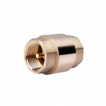 Купити Зворотний клапан SD Forte 1" SF240W25